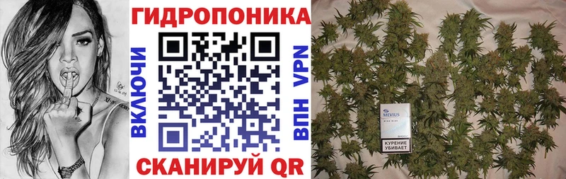 Шишки марихуана White Widow Клин